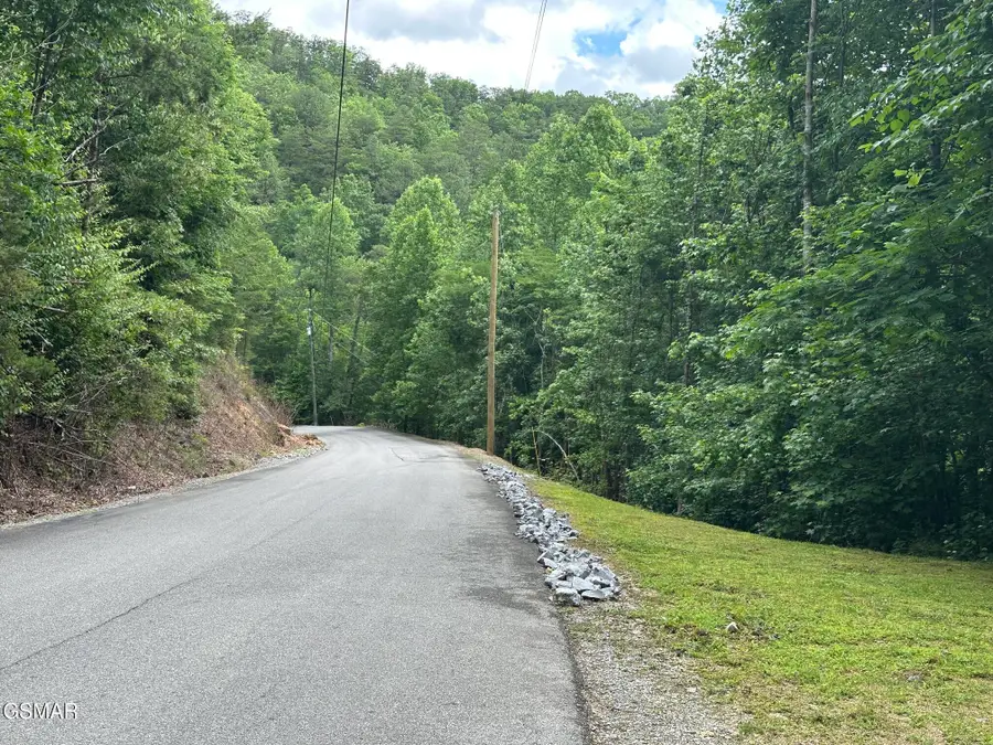 1430 Mountain Dreams Way, Sevierville, TN 37862 - #3