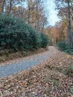 Lot 3 Rocky Ridge Road, Cosby, TN 37722 - #1