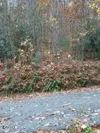 Lot 3 Rocky Ridge Road, Cosby, TN 37722 - #2
