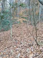 Lot 3 Rocky Ridge Road, Cosby, TN 37722 - #3