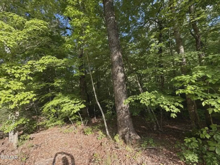 20,21,22 Fox Hunters Lane, Sevierville, TN 37876 - #3