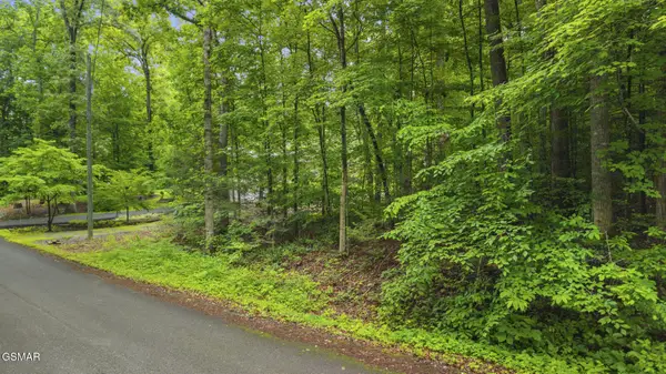 00 Peach Tree Street, Sevierville, TN 37862