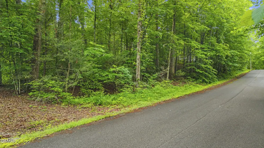 00 Peach Tree Street, Sevierville, TN 37862 - #2