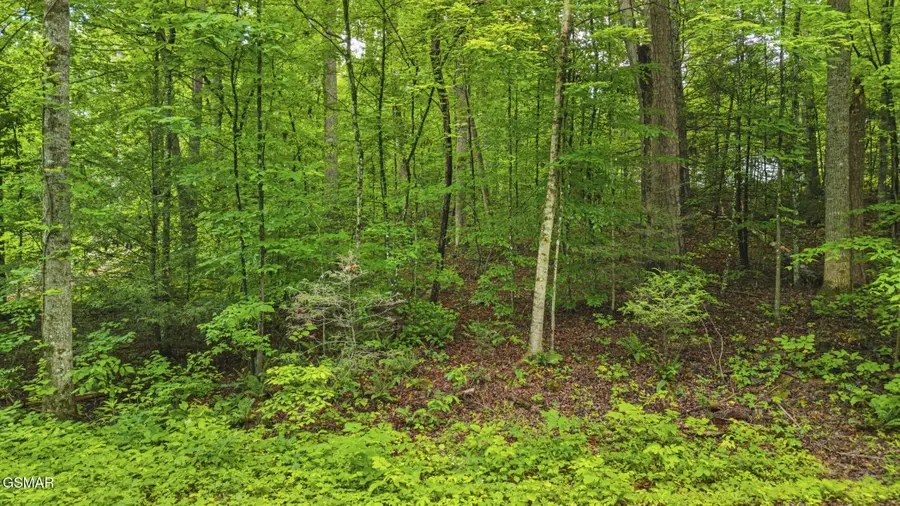 00 Peach Tree Street, Sevierville, TN 37862 - #3