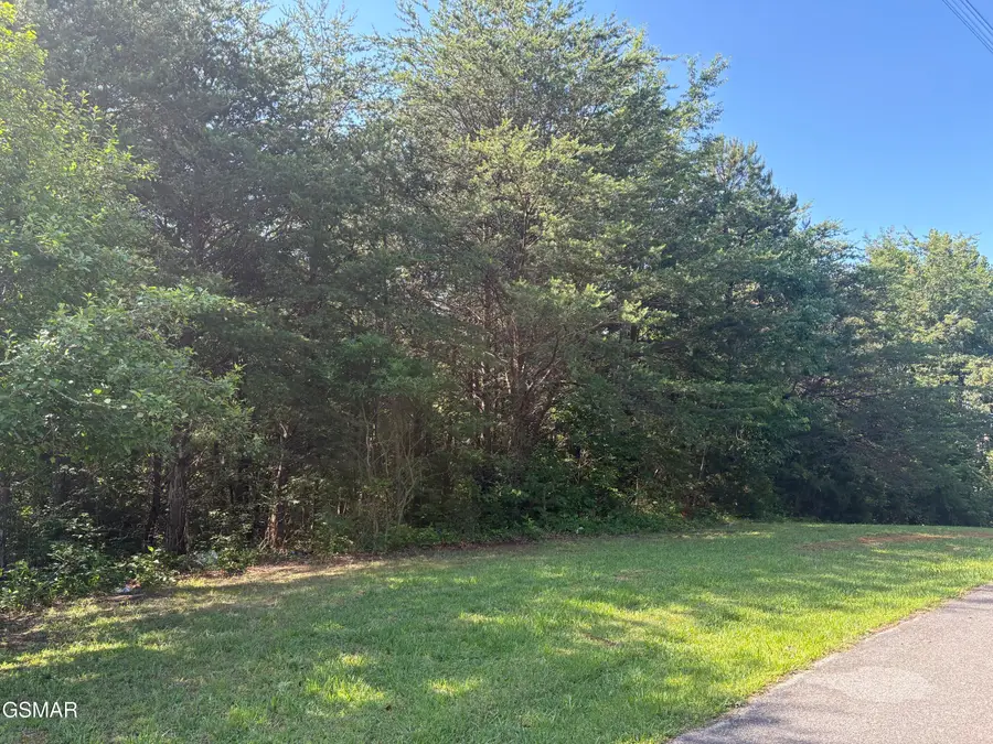 Lot 6 Shiner Run Drive, Newport, TN 37821 - #3