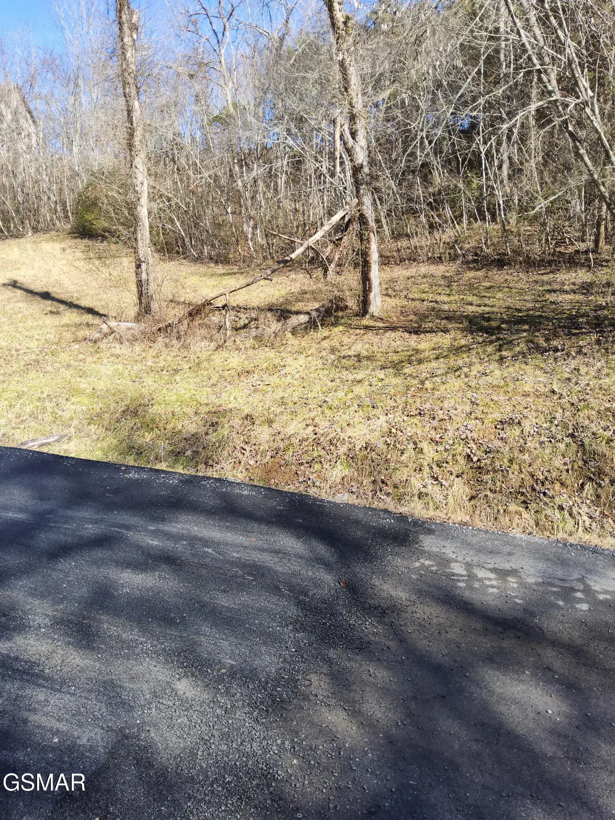 0 Ivy Way, Newport, TN 37821 - #1
