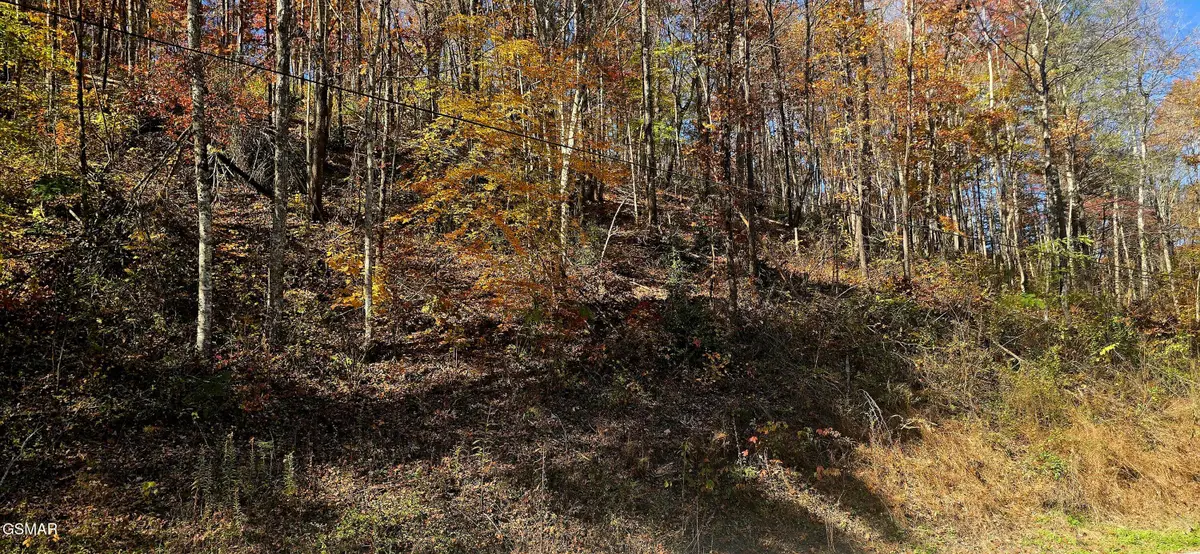 Lot 0008 Emerald Springs Loop, Sevierville, TN 37862 - #1