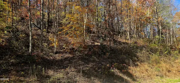 Lot 0008 Emerald Springs Loop, Sevierville, TN 37862