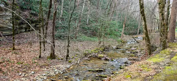 Lot 0002 N Clear Fork Road, Sevierville, TN 37862