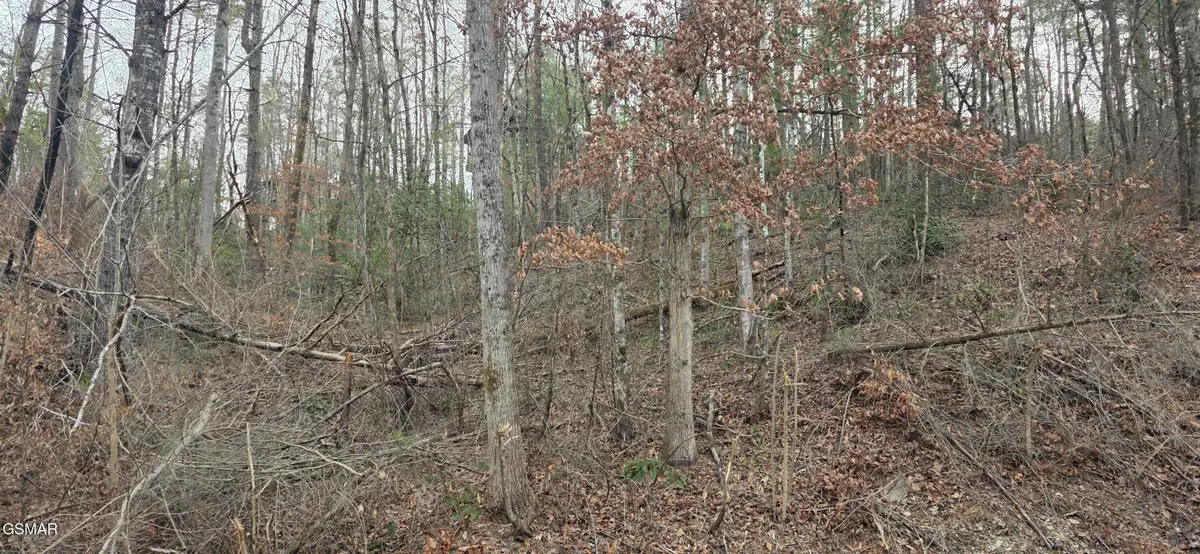 3276 Emerald Springs Loop, Sevierville, TN 37862 - #1