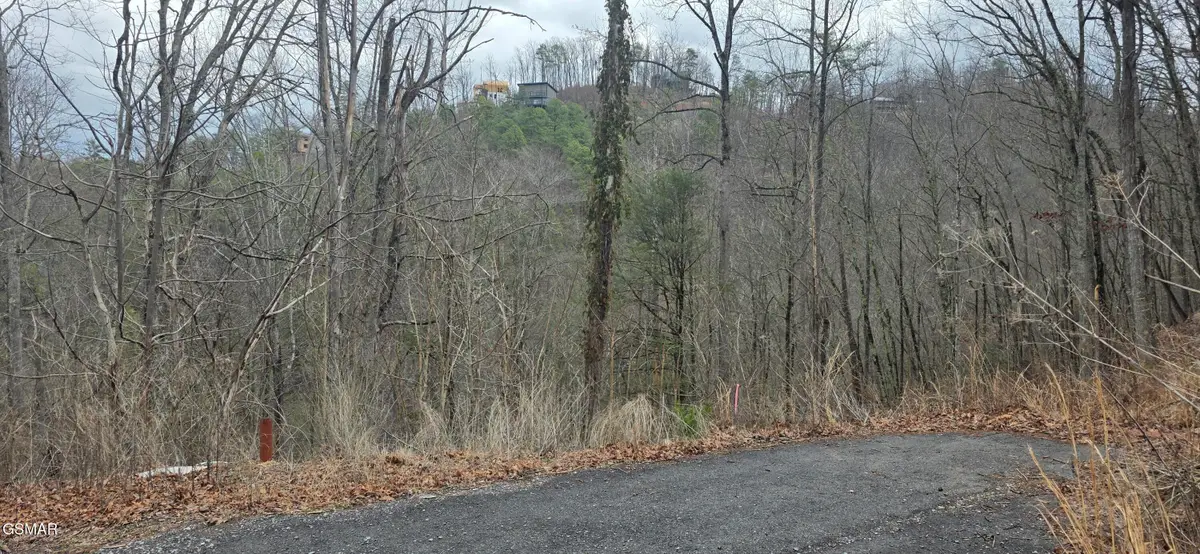 3278 Emerald Springs Loop, Sevierville, TN 37862 - #1