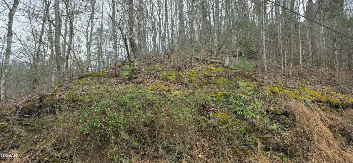 Lot 0006 Wildcat Ridge Road, Sevierville, TN 37862 - #1