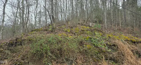 Lot 0006 Wildcat Ridge Road, Sevierville, TN 37862