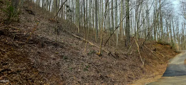 Lot 15 Emerald Springs Loop, Sevierville, TN 37862