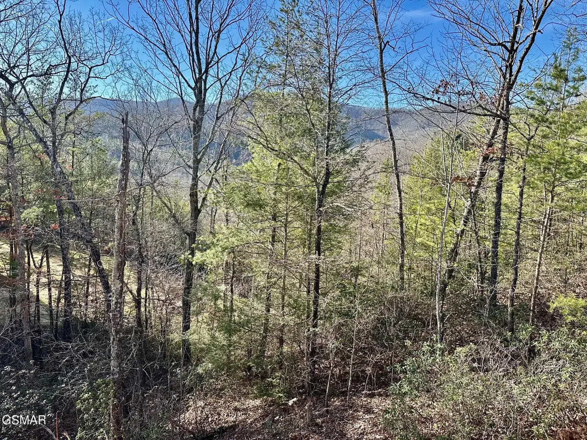 1306 Morning Dove Way, Sevierville, TN 37862 - #1