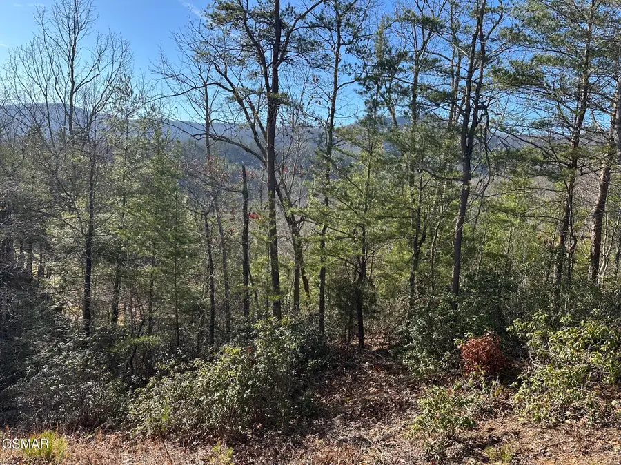 1306 Morning Dove Way, Sevierville, TN 37862 - #2