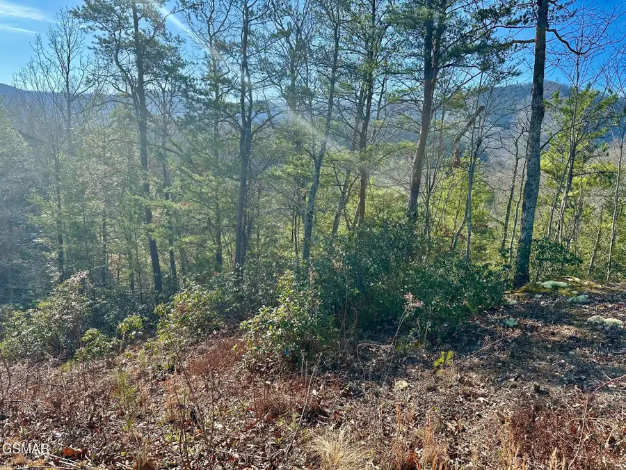 1306 Morning Dove Way, Sevierville, TN 37862 - #3