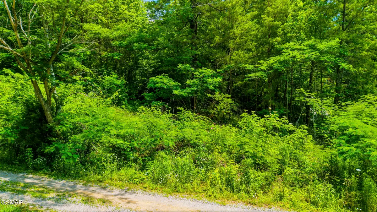 00 Boomer Way, Cosby, TN 37722 - #1