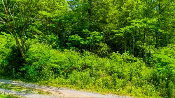 00 Boomer Way, Cosby, TN 37722