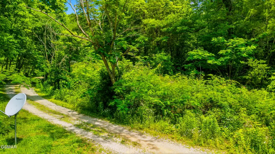 00 Boomer Way, Cosby, TN 37722 - #2