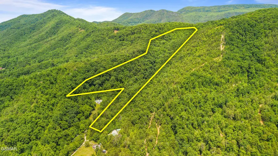 00 Boomer Way, Cosby, TN 37722 - #3