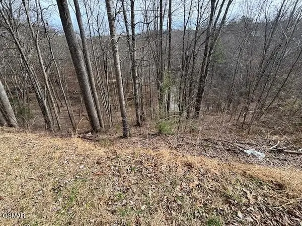 lots 444 a Sky View, Sevierville, TN 37876