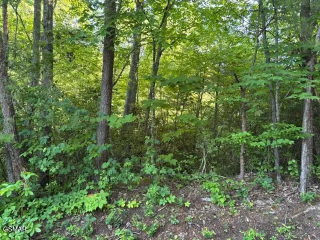 Lot 1461A Ridgehigh Pass, Sevierville, TN 37876 - #1