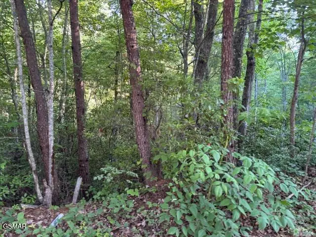 Lot 1461A Ridgehigh Pass, Sevierville, TN 37876 - #2