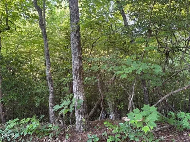 Lot 1461A Ridgehigh Pass, Sevierville, TN 37876 - #3