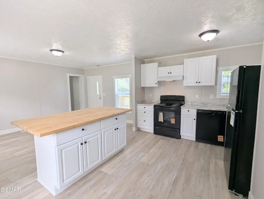 203 Pettit Street, Vonore, TN 37885 - #3