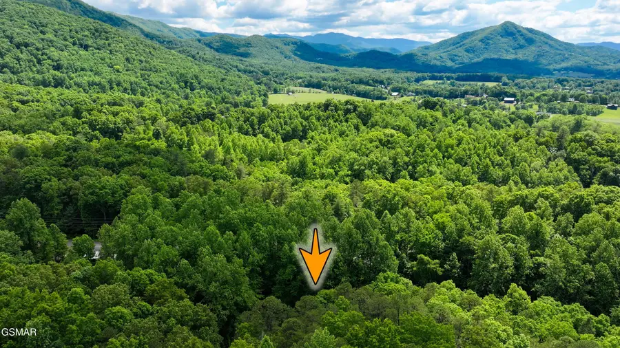 3435 Walker Lane, Sevierville, TN 37862 - #2