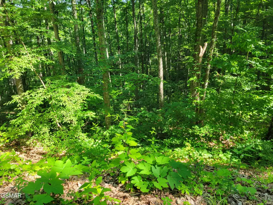 Lot 20 Sunset Drive, Sevierville, TN 37876 - #2