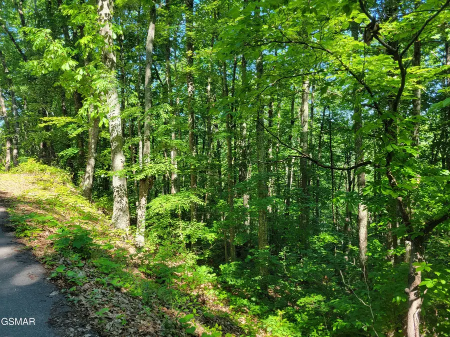 Lot 20 Sunset Drive, Sevierville, TN 37876 - #3