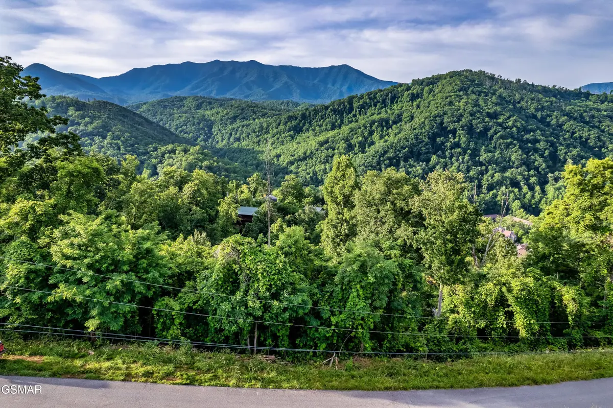 Lot 0002 Ellis Ogle Road, Gatlinburg, TN 37738 - #1