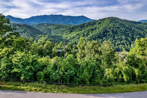 Lot 0002 Ellis Ogle Road, Gatlinburg, TN 37738