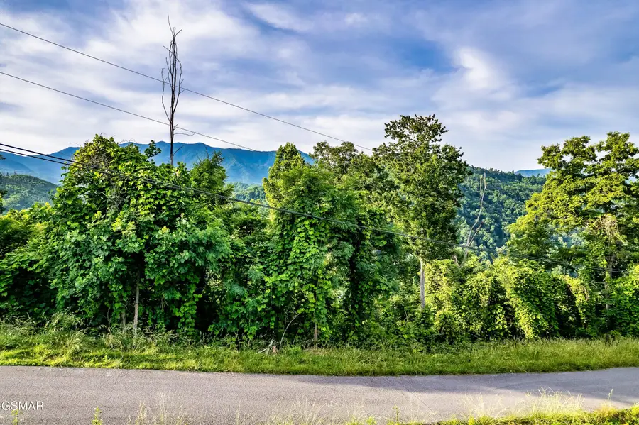 Lot 0002 Ellis Ogle Road, Gatlinburg, TN 37738 - #2