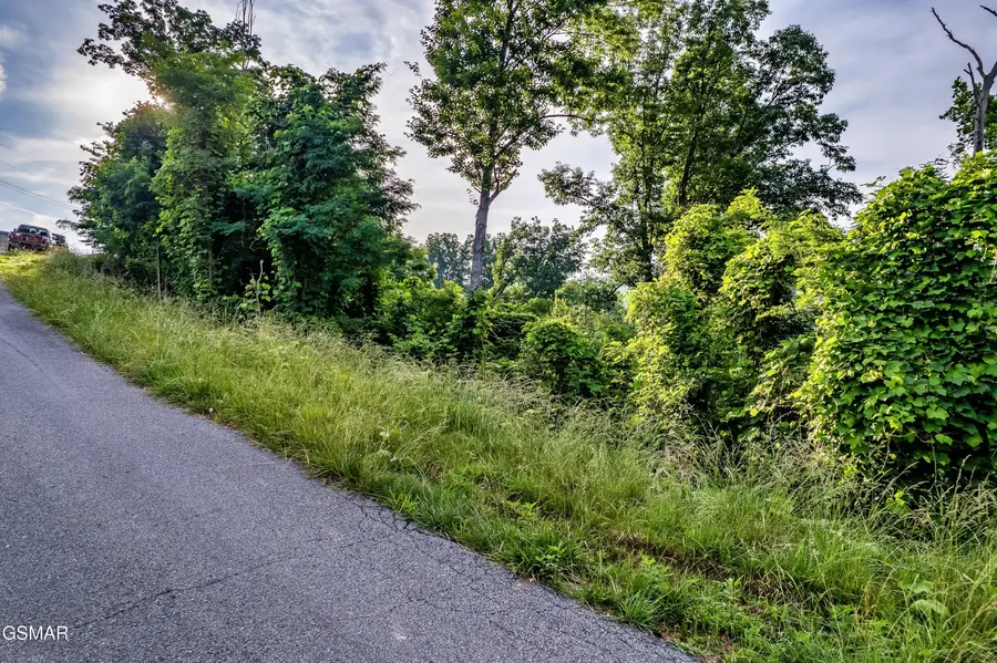 Lot 0002 Ellis Ogle Road, Gatlinburg, TN 37738 - #3