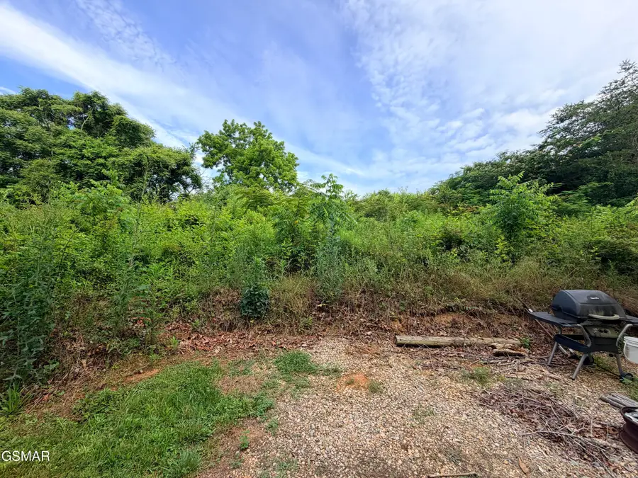 1361 Lower English Creek Road, Newport, TN 37821 - #3