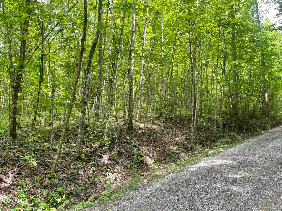 Lot 4 Walden Flats Way, Sevierville, TN 37862 - #2