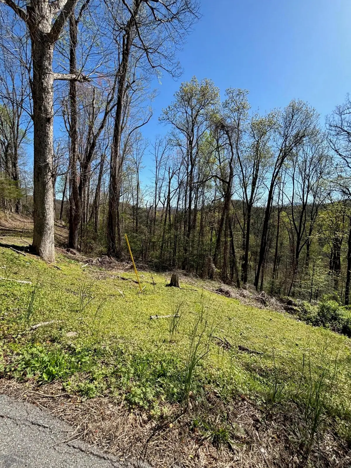 000 Esslinger & Low Gap, Gatlinburg, TN 37738 - #1