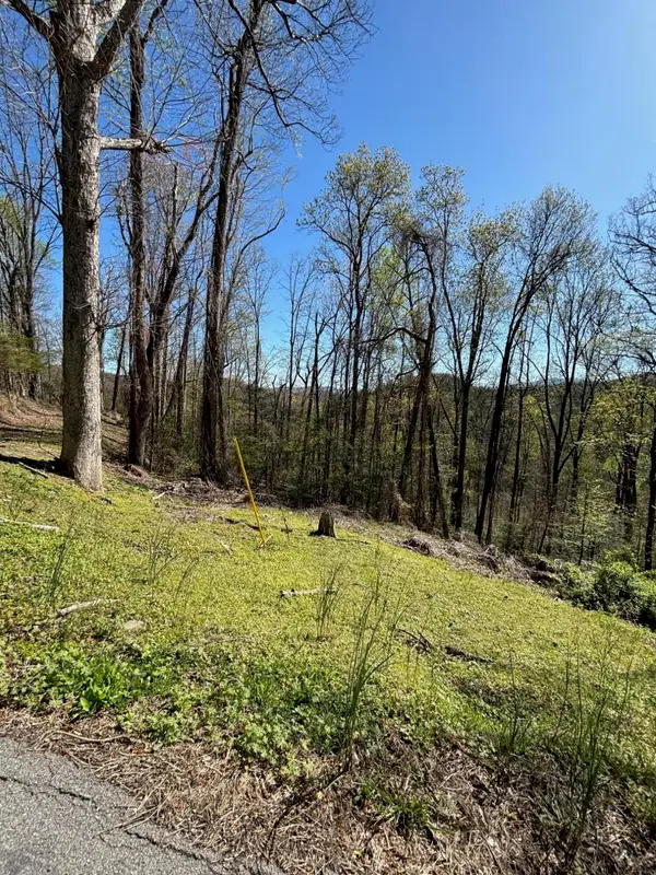 000 Esslinger & Low Gap, Gatlinburg, TN 37738