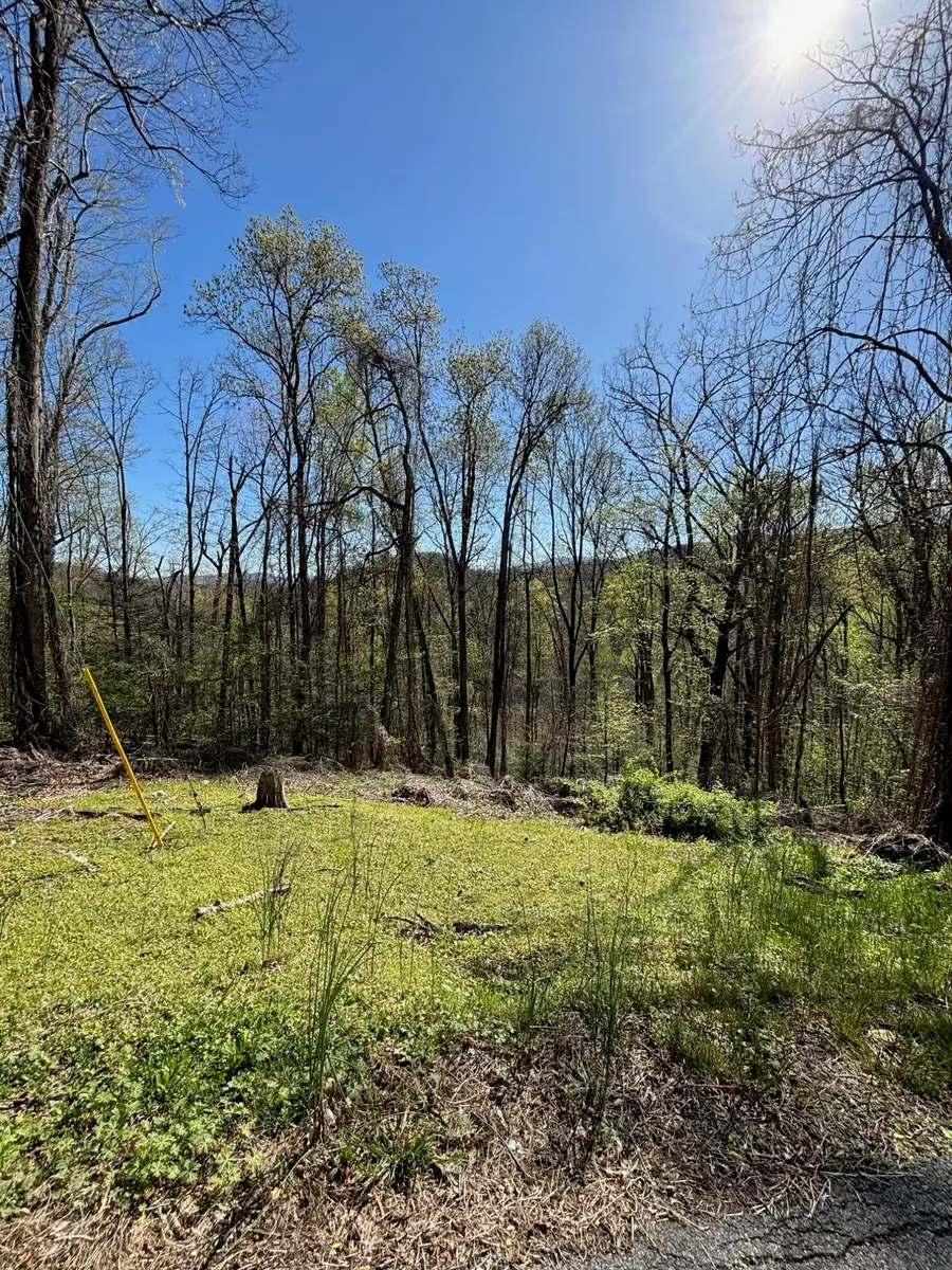 000 Esslinger & Low Gap, Gatlinburg, TN 37738 - #2