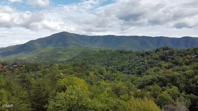 - Round Top Way, Sevierville, TN 37862 - #2