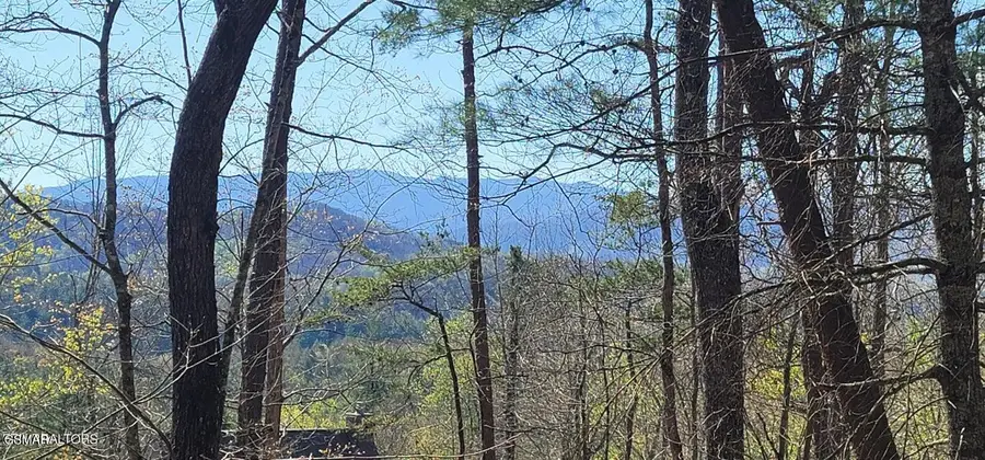 Lot 37a Chinquapin Drive, Sevierville, TN 37862 - #2