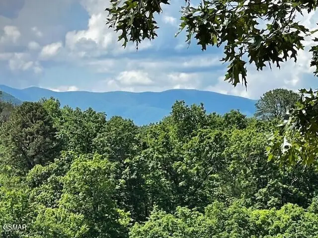430 Sugar Maple Loop, Sevierville, TN 37862 - #2