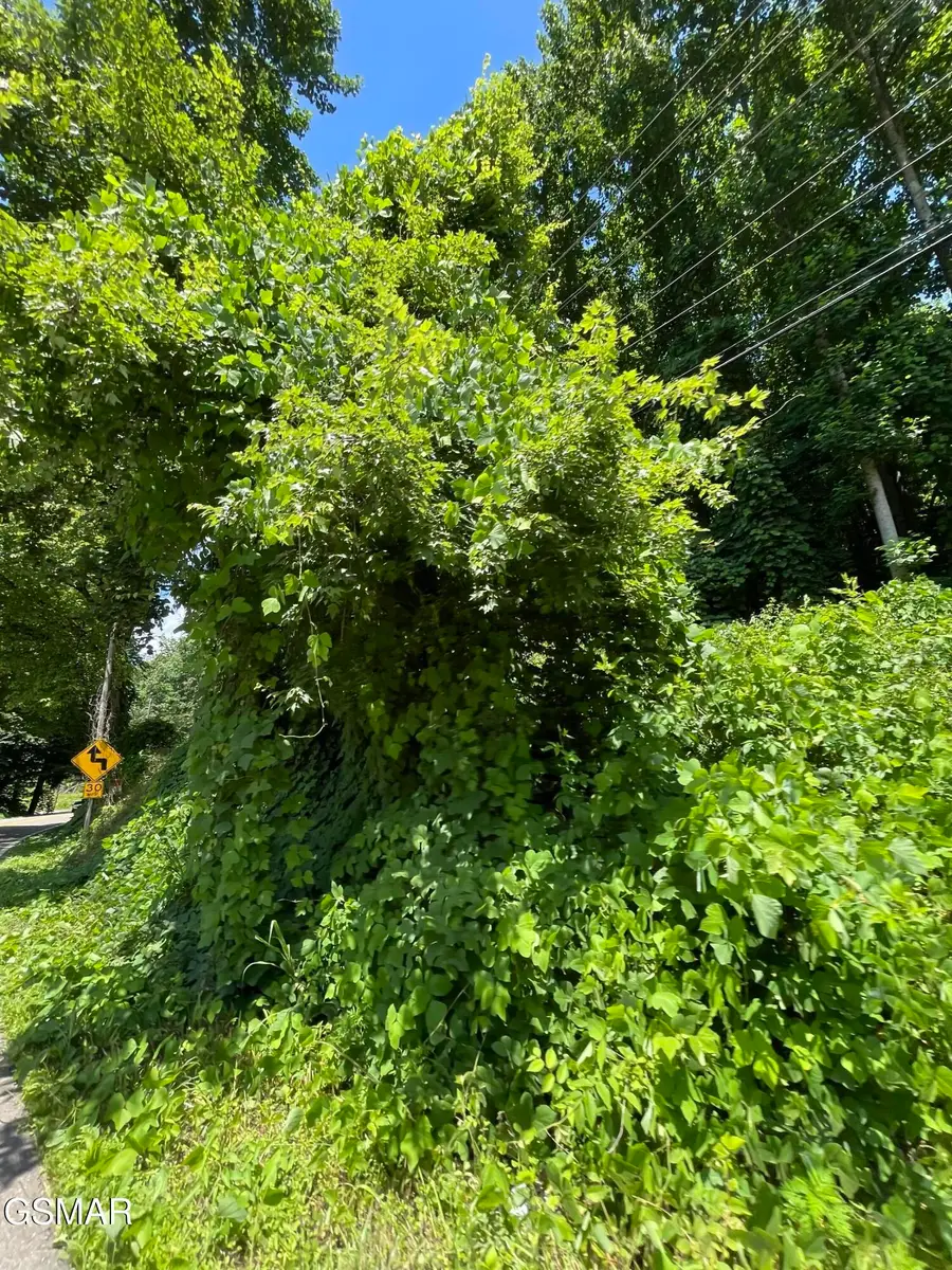 1 Pittman Center Road, Sevierville, TN 37876 - #2