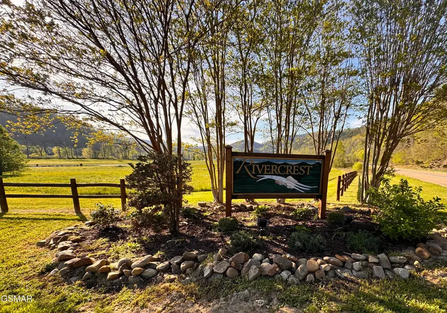 Lot 145 River Rapids Way, Del Rio, TN 37727 - #3