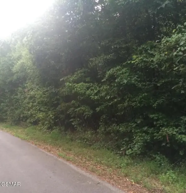 3347 Mountain View Lane, Baneberry, TN 37890