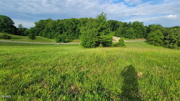Lot 41 Shiloh Springs Road, Rutledge, TN 37861