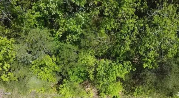 Lot 81 Yellowwood Drive, Sevierville, TN 37876